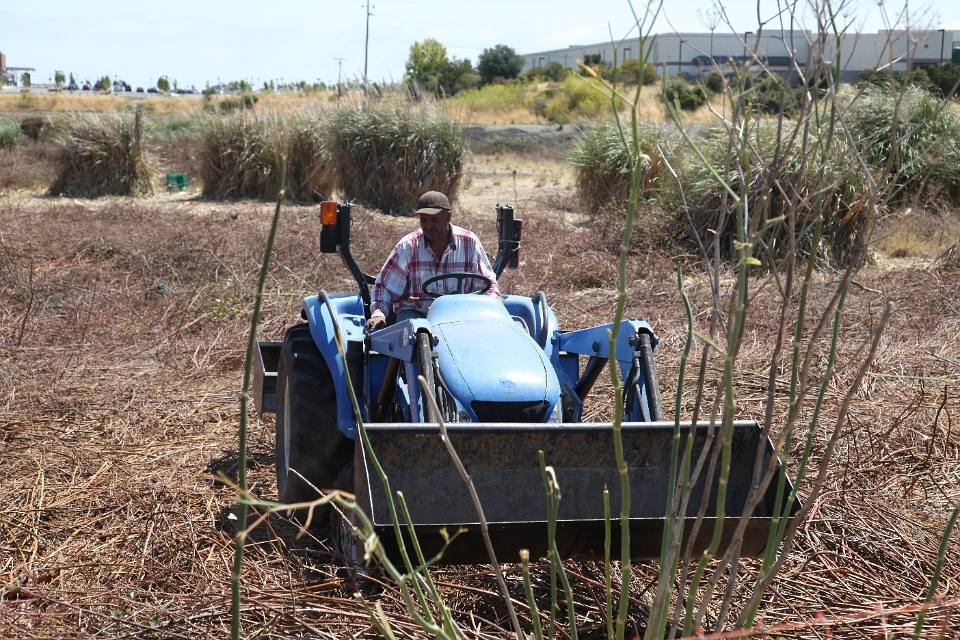 IMG 0011