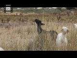 MVI_0112.mp4