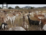 MVI_0113.mp4