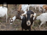 MVI_0114.mp4