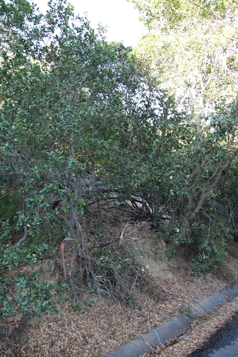 IMG 0026