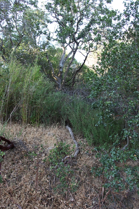 IMG 0027