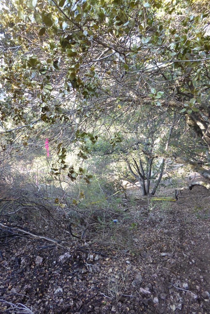 P1020633