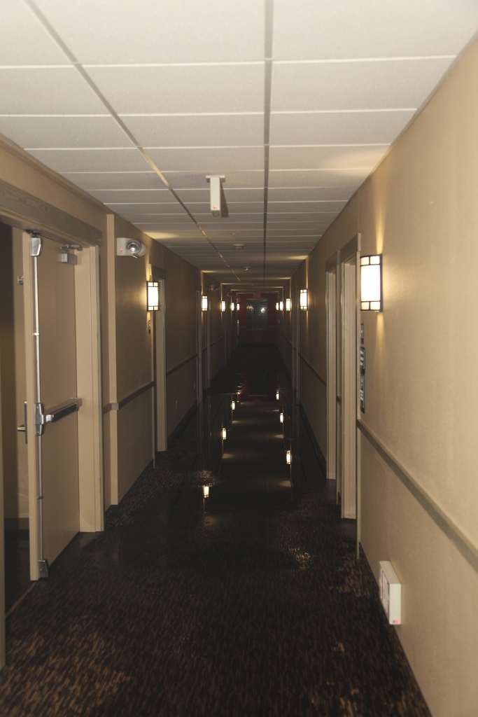 IMG 0002