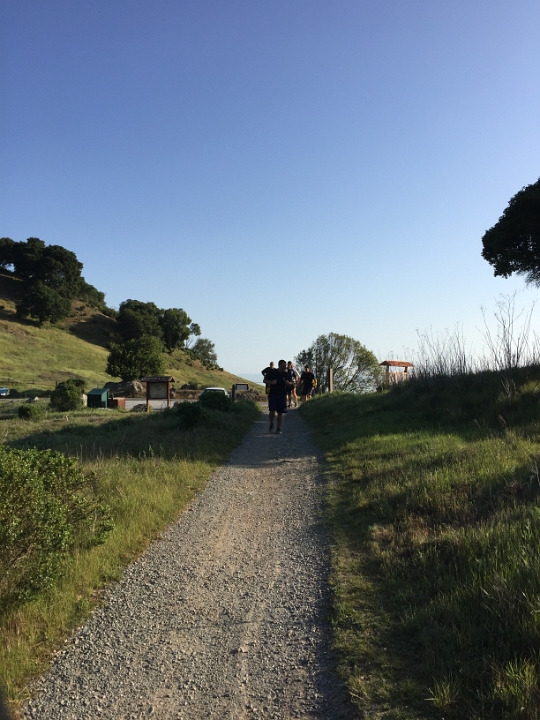 IMG 0912