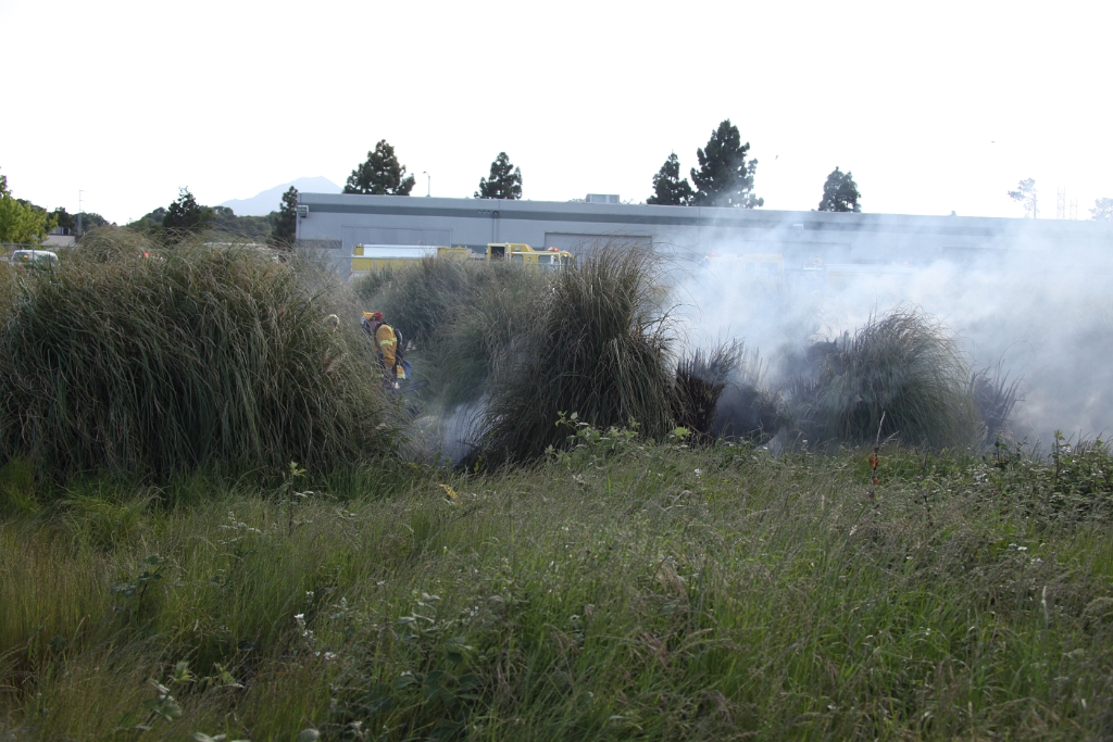 IMG 0010 (2)
