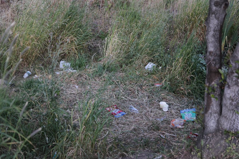 IMG 0022