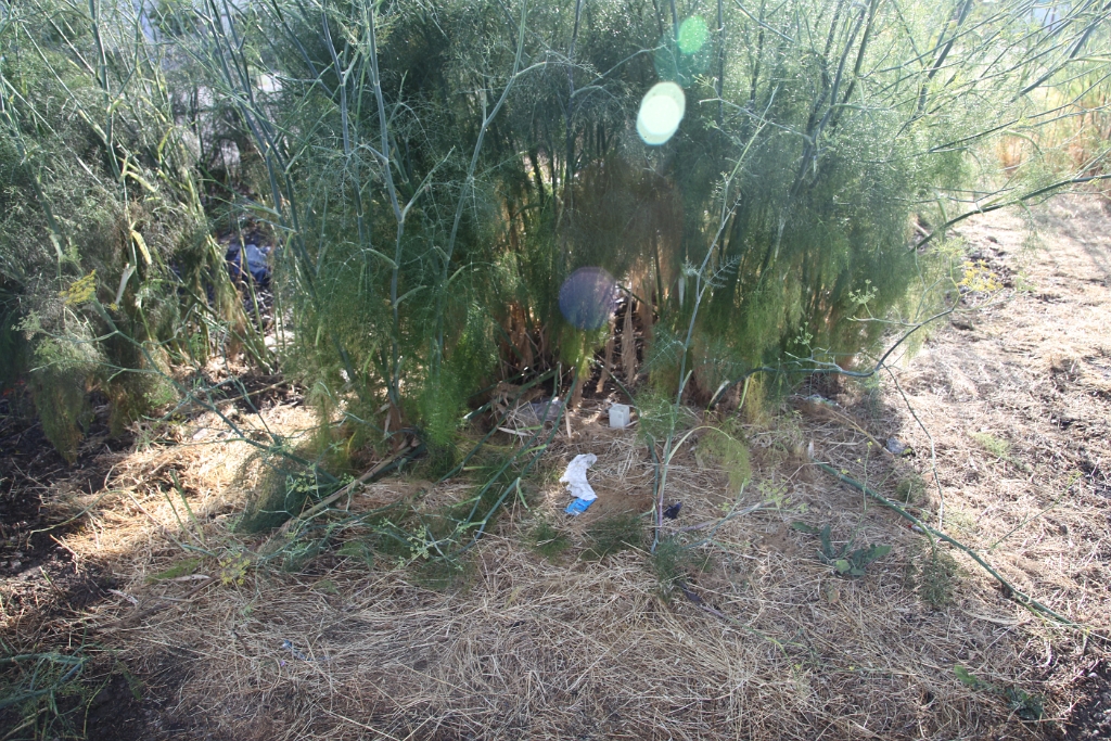 IMG 0014