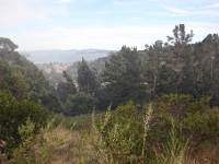 IMG 0073