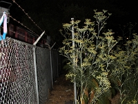 IMG 0015