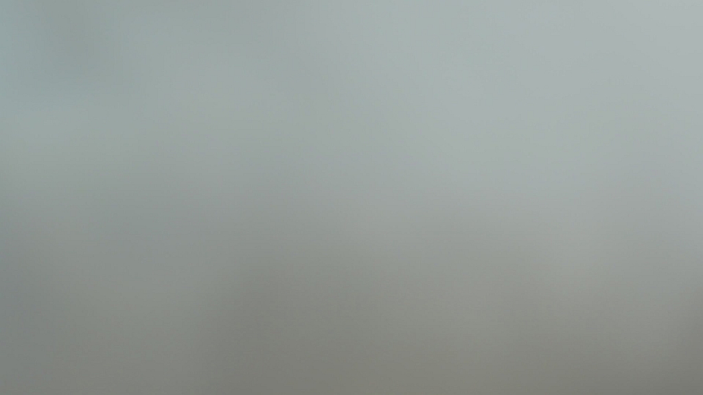 1N8A0005