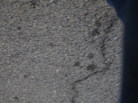 IMG 0042