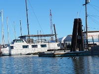 DSCN5152