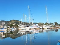DSCN5163