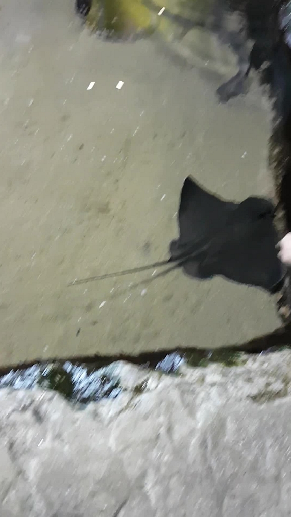 20170109 141053