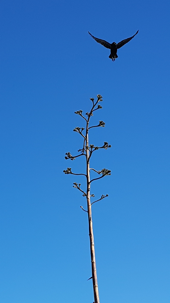 20170113 115406