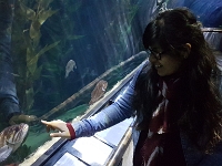 20170109_133439.jpg
