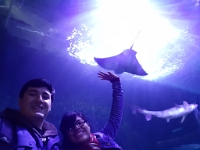 20170109_134205.jpg