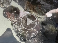 20170109_140619.mp4