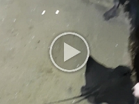 20170109_141053.mp4