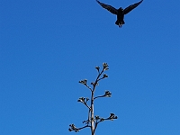 20170113_115406.jpg