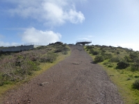 P1010634.JPG