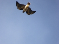 P1010635.JPG