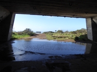 P1010644.JPG