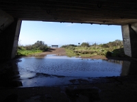 P1010645.JPG