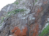 P1010650.JPG